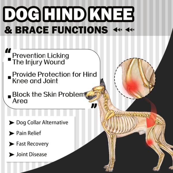 Recovery Suit For Dogs - Leg Surgery Protector, Lick Sleeve To Prevent Licking, Avoids Wound Infection - 3XL - Image 5