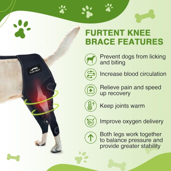 Dog Knee Brace for Torn ACL Hind Leg - Keeps Joints Warm and Stable, Upgraded Adjustable Leg Support (L, Classic Knee Brace) - Image 5