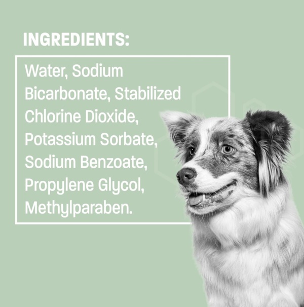 Dog Breath Water Additive - Cat & Dog Water Additive for Dental Care - Dog Dental Water Additive for Dogs Teeth and Bad Breath Treatment for Dogs and Cats - Odorless & Tasteless - 8 oz - Image 7
