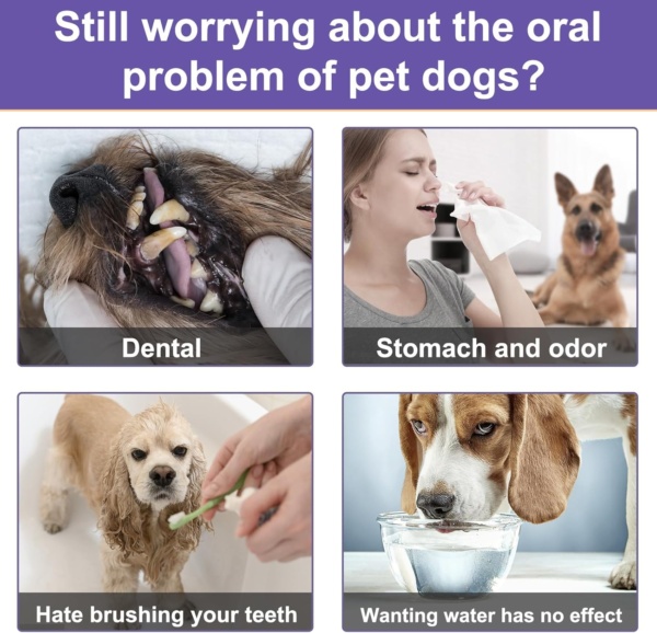 Dental Powder for Dogs & Cats, Dog Breath Freshener, Dog Dental Care, Plaque Off & Tartar Remover for Dogs Cats, Teeth Cleaning Made Easy Eliminate, Formulated for All Ages Pet - 100g - Image 7