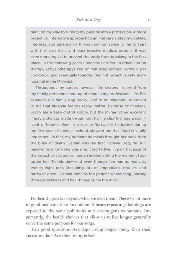 The Forever Dog: The New York Times and Sunday Times Bestselling Dog Care Guide - Image 7