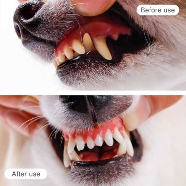 12 Pieces Pet Finger Toothbrush, Soft Silicone, Non-Toxic, Reusable, Clear, Manual, Dog Cat Dental Brushes Kit for Dogs Cats Pets Dental Care - Image 6