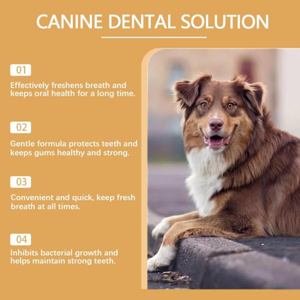 Pet Dental Care Set - Dog & Cat Toothbrush and Toothpaste, Finger Toothbrush, Teeth Cleaning Products, Dental Kit Against Bad Breath (Beef Flavor) - Image 3