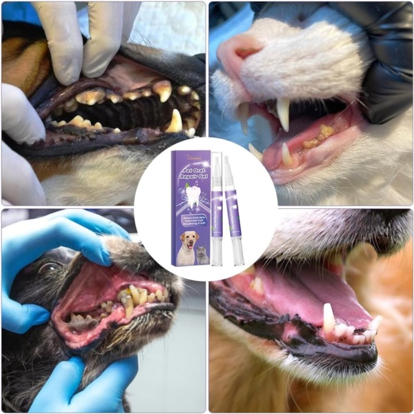 Pet Oral Repair Gel, 6PCS Dog Teeth Cleaning Products, Pet Oral Restoration Whitening Gel, Pet Toothbrush Pen, Pet Breath Freshener for Dogs & Cats, Keep Your Pet Oral Healthy - Image 7