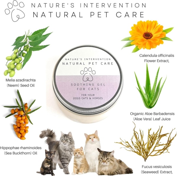 NATURE'S INTERVENTION - Aloe Vera Gel for Cats - 99% Natural. Neem, Calendula, Sea Buckthorn. Protects, Hydrates, Soothes. 100ml