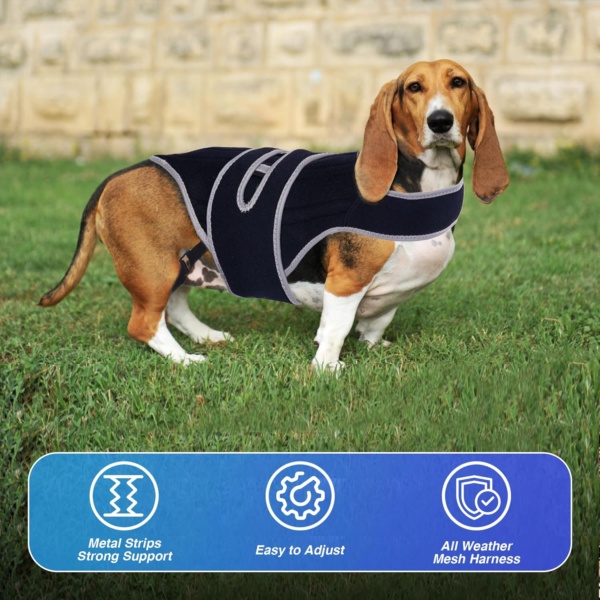 Back Bracer in Large Dogs for IVDD, Arthritis, Spinal Surgical Recovery for Beagle, Dachshund, Reflective Frame Support Harness for Back, Keeps The Back Stable Adjustable Pet Hip Brace Support - Image 2