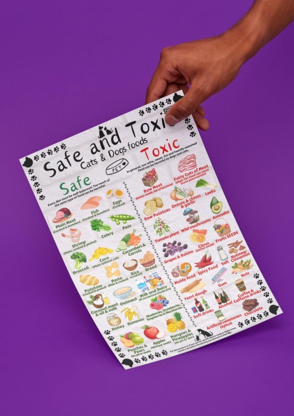 Safe and Toxic Foods for Dogs and Cats Essential Pet Health Guide fridge MAGNET - Size A4 (8.3 x 11.7 inch) - Image 6