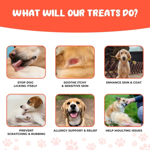 Dog Allergy Relief Treats (120), Itch and Immunity Treats for Dogs -Soothe Itchy Paws, Eyes, Ears, Skin - Stop Itching, Itchy Dog Skin Relief, Dog Allergy Relief, Anti Itch for Dogs - Image 3