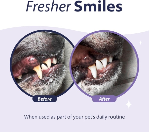 Dental Fresh Water Additive - Original Formula for Dogs - Clinicially Proven, Simply Add to Pet’s Water Bowl to Whiten Teeth, Eliminate Bad Breath, and Improve Oral Health (17 oz) - Image 3