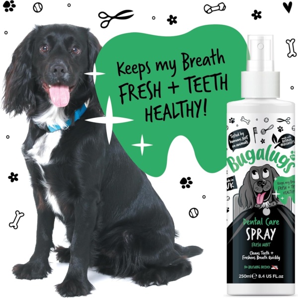 BUGALUGS Dog Breath Freshener Dental Care Dog Spray. Clean Teeth, Healthy Gums & Fresh Breath - Natural Dog plaque remover & tartar remover for teeth. No Brushing Needed (Dog 250ml Spray) - Image 8