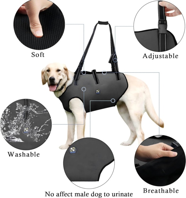 Coodeo Dog Lift Harness, Pet Support & Rehabilitation Sling Lift Adjustable Padded Breathable Straps for Old, Disabled, Joint Injuries, Arthritis, Loss of Stability Dogs Walk (Black, M) - Image 6