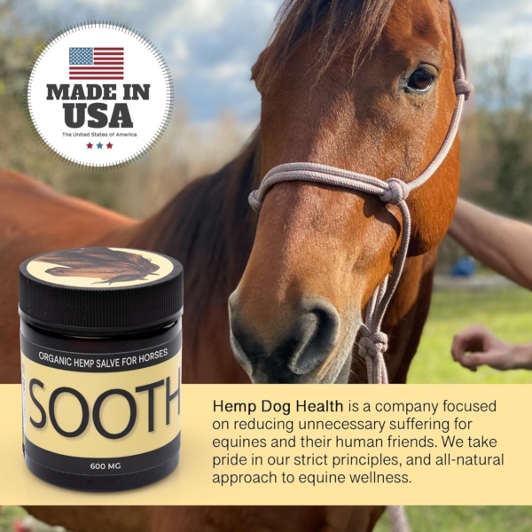 Soothe - Hemp Salve Horse Liniment - Bug Bites & Allergy Support - Soothing Relief for Skin Irritation in Horse - Image 9