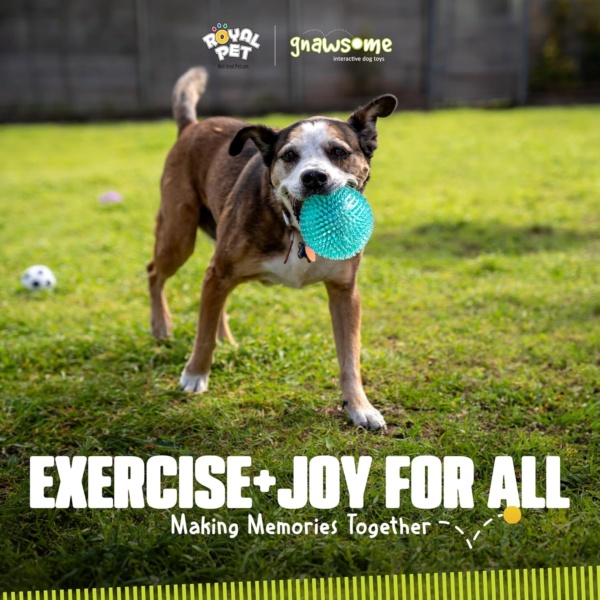 Gnawsome™ 4.5” Spiky Squeaker Ball Dog Toy - Extra Large, Cleans Teeth and Promotes Good Dental and Gum Health for Your Pet, Colors will vary, 4.5" - Image 8