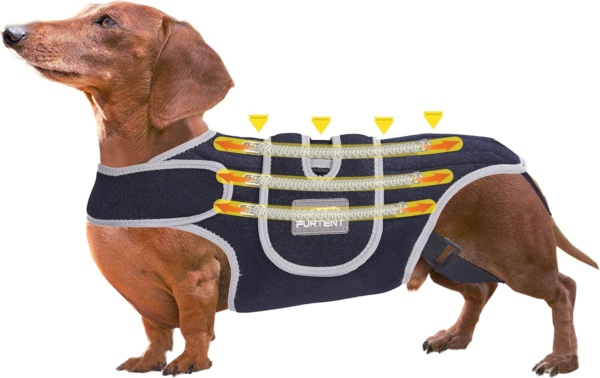 Back Bracer in Large Dogs for IVDD, Arthritis, Spinal Surgical Recovery for Beagle, Dachshund, Reflective Frame Support Harness for Back, Keeps The Back Stable Adjustable Pet Hip Brace Support