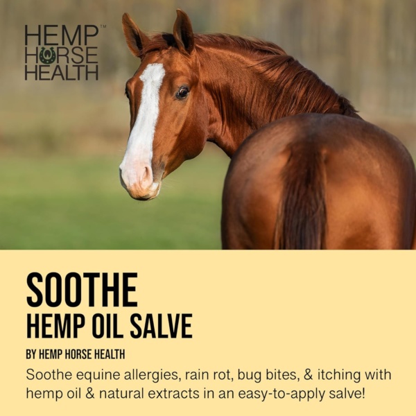 Soothe - Hemp Salve Horse Liniment - Bug Bites & Allergy Support - Soothing Relief for Skin Irritation in Horse - Image 3