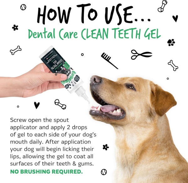 Bugalugs Dental Care Clean Teeth Gel Tooth Cleaner Essentials. No Brushing Breath Freshener Treatment, Plaque Removal Products, Tartar Remover for Teeth for Dogs, Cat Dental, Puppy & Kitten - Image 7