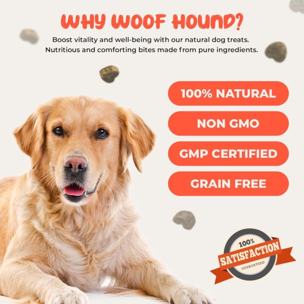Dog Allergy Relief Treats (120), Itch and Immunity Treats for Dogs -Soothe Itchy Paws, Eyes, Ears, Skin - Stop Itching, Itchy Dog Skin Relief, Dog Allergy Relief, Anti Itch for Dogs - Image 7