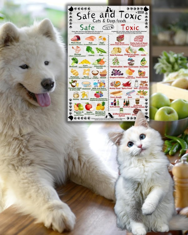 Safe and Toxic Foods for Dogs and Cats Essential Pet Health Guide fridge MAGNET - Size A4 (8.3 x 11.7 inch) - Image 7