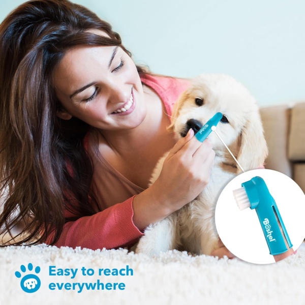 BOSHEL Dog Toothbrush Set - 8 Pack - 6 Long Handled Double-Sided Toothbrushes & 2 Finger Toothbrushes - Soft Nylon Bristles - Oral Care Kit for Dogs & Cats - Image 6