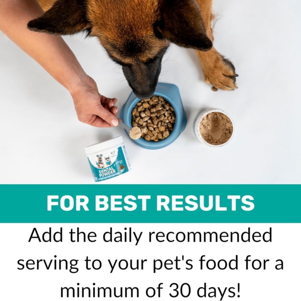 NutriPaw Dental Powder For Dogs & Cats - Clean Teeth, Healthy Gums & Fresh Breath - Manage Plaque & Tartar Build-Up - Fuss-Free - No Brushing Needed - Lasts Up To 6 Months - Image 6