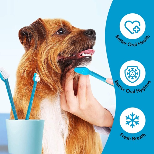BOSHEL Dog Toothbrush Set - 8 Pack - 6 Long Handled Double-Sided Toothbrushes & 2 Finger Toothbrushes - Soft Nylon Bristles - Oral Care Kit for Dogs & Cats - Image 3