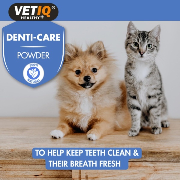 VETIQ Denti-Care Powder For Cats 12+ Weeks & Dogs 8+ Weeks, Natural Oral Care Remedy to Help Remove Plaque & Prevent Tartar Build Up & Keeps Teeth Cleans & Freshens Breath, 60 g (Pack of 1) - Image 4