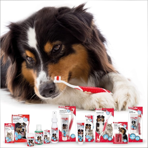 Beaphar Toothpaste for Dogs and Cats, 100g - Image 7