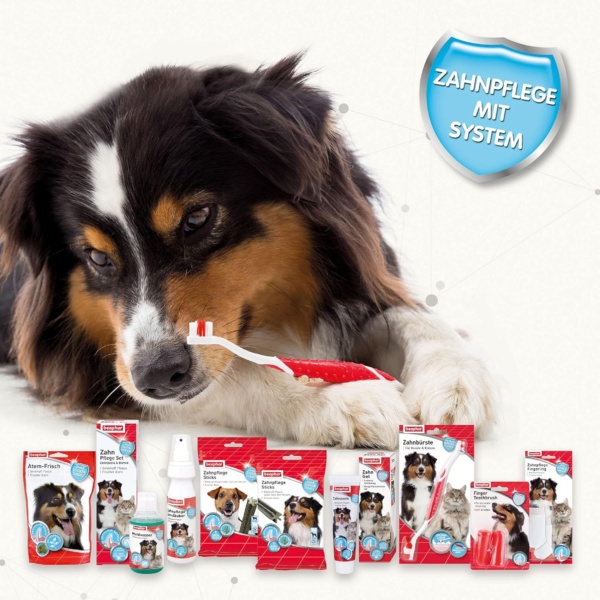 Beaphar | Finger Toothbrush | Dental Care For Dogs & Cats | For Accurate Cleaning | Soft Bristles | Ideal for Sensitive Pets | 2 Pack, Red - Image 7