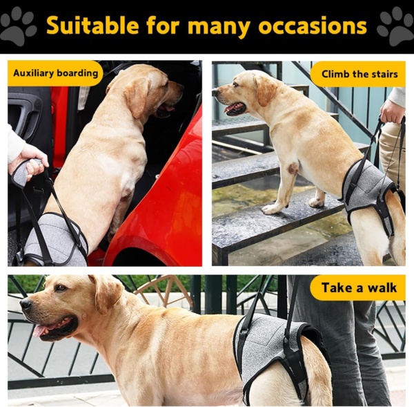Dog Lifting Harness for Back Legs, Dog Support Harness Slings for Large Medium Small, Adjustable Dogs Brace for Hind Leg, Support Strap for Injured Disabled Elderly Dogs Walking Aid (XL) - Image 6