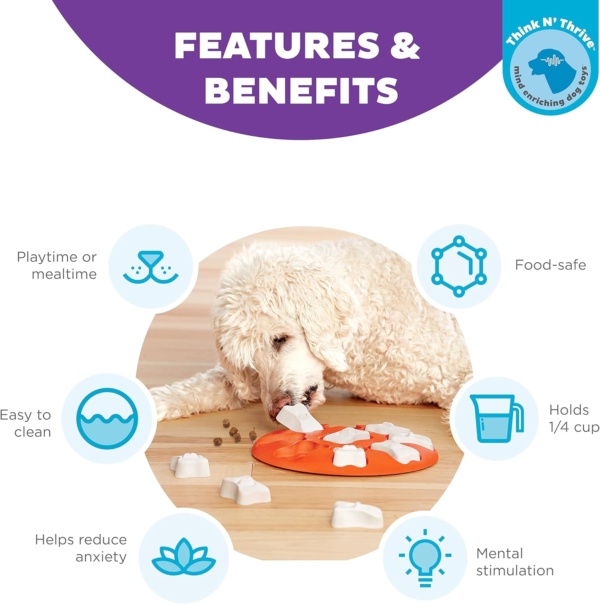 Outward Hound Nina Ottosson Dog Smart Dog Puzzle Interactive Treat Puzzle Dog Enrichment Dog Toy, Level 1 Beginner, Orange - Image 2