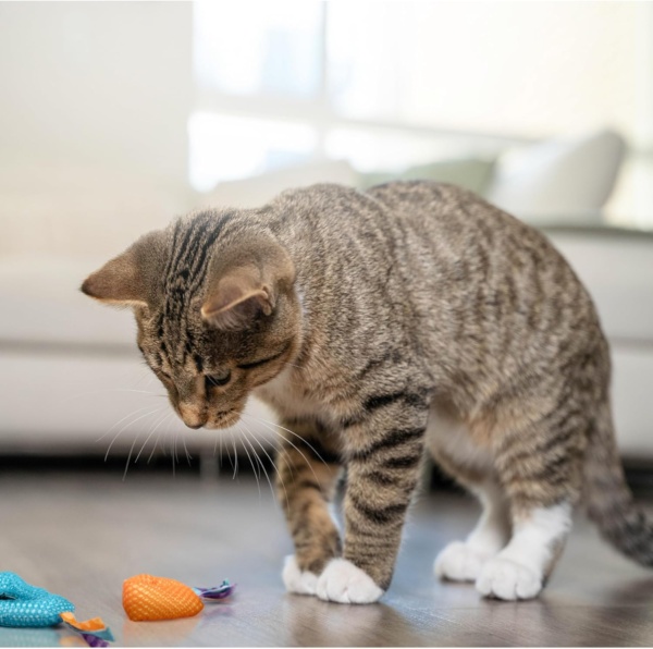 Petstages Dental Health Chews Pair - Image 9
