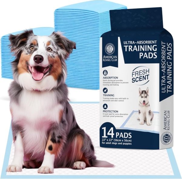 Puppy Training Pads with Ultra Absorbent Quick Dry Gel – 22 x 22 Pee Pads for Dogs - 14 Count (Fresh Scented)