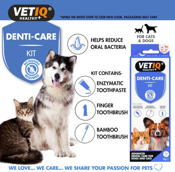 VETIQ Denti-Care Kit Twin Pack for Dogs 2+ Months & Cats 3+ Months Contains Enzymatic Toothpaste to Help Fight Tartar & Dental Plaque, Bamboo Toothbrush & a Silicone Finger Sleeve, (2 x 70 g) - Image 6