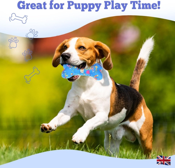 Durable Chew Toy for Dogs | Indestructible, Squeaky Plush Bone Shape Dog Toy, Ideal for Aggressive Chewers, Dental Health, Mental Stimulation | For All Breeds of Puppy, Small and Medium Dogs - Image 3