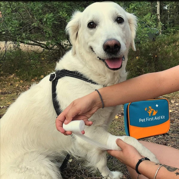 Pet First Aid Kit, Veterinary First Aid Bag for Dog, Cat, Rabbit, Animal, with Otoscope, Perfect for Home Care and Outdoor Travel Emergencies - Image 4