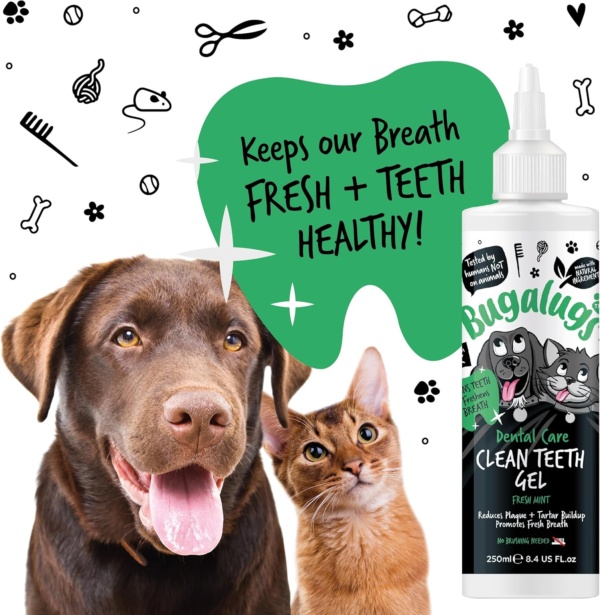 Bugalugs Dental Care Clean Teeth Gel Tooth Cleaner Essentials. No Brushing Breath Freshener Treatment, Plaque Removal Products, Tartar Remover for Teeth for Dogs, Cat Dental, Puppy & Kitten - Image 9