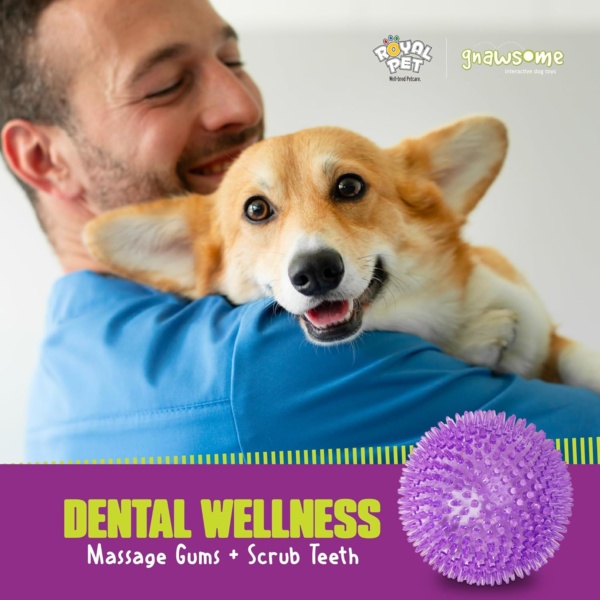 Gnawsome™ 4.5” Spiky Squeaker Ball Dog Toy - Extra Large, Cleans Teeth and Promotes Good Dental and Gum Health for Your Pet, Colors will vary, 4.5" - Image 10