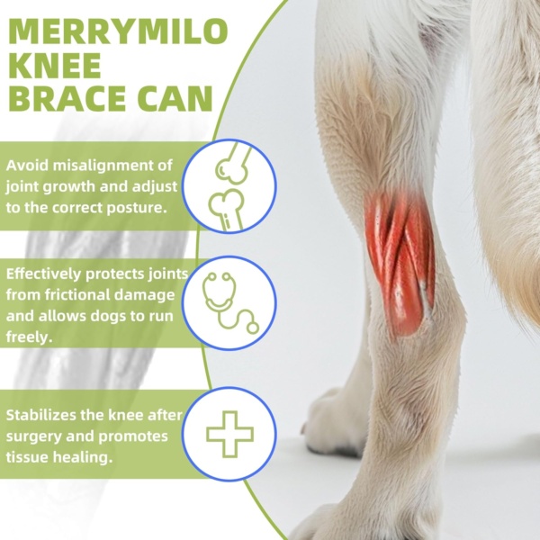 Dog Leg Braces for Back Leg Dog ACL Brace for Torn and Back Hind Rear Legs ACL Tear, Dog Leg Brace for Hip Dysplasia, Dog Arthritis, Luxating Patella(Size L) - Image 2