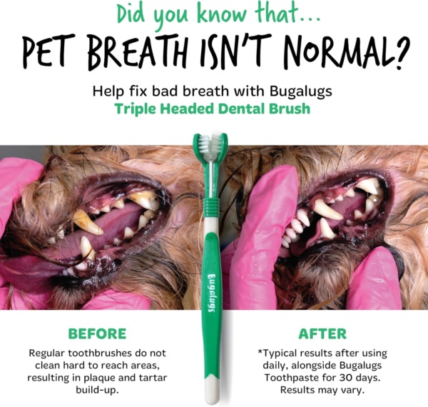 Bugalugs Dog Toothbrush & Cat Toothbrush Triple Headed Plaque Remover, Our Dental Teeth Cleaning Products Makes Teeth Cleaning Easier with Dog Toothpaste & Cat Toothpaste - Image 3