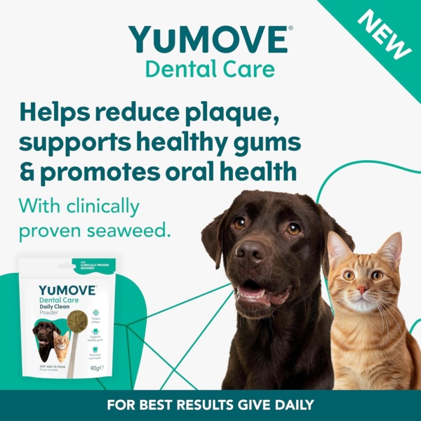 YuMOVE Daily Clean Dental Powder, Dog & Cats Teeth Cleaning Products for Dental Care, Plaque Remover and Prevention, Breath Freshener, All Breeds From 6 Months, 90g - Image 2