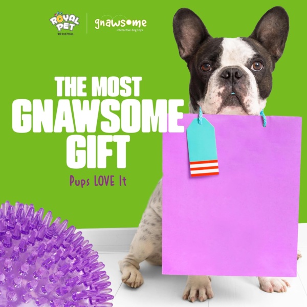 Gnawsome™ 4.5” Spiky Squeaker Ball Dog Toy - Extra Large, Cleans Teeth and Promotes Good Dental and Gum Health for Your Pet, Colors will vary, 4.5" - Image 5
