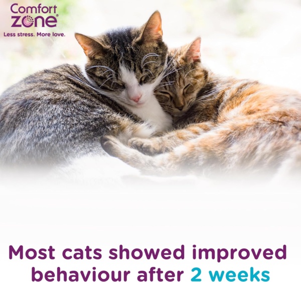 Calming Pheromone Diffuser Starter Kit, for a Calm Single or Multi-Cat Home, Reduces Stress, Spraying, Scratching & Other Problematic Behaviours, 1 Diffuser & 1 Refill - Image 12