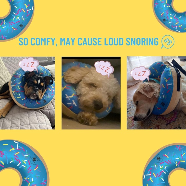 Inflatable Dog Collar | Super Comfy Recovery Collar for Medium Dogs (Blue) - Image 2