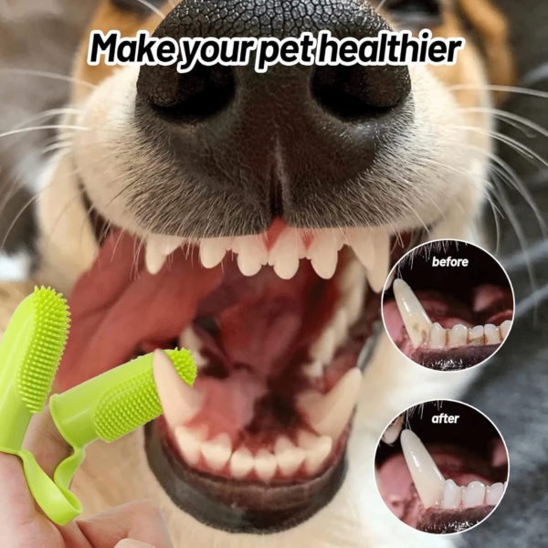2Pcs Dog Toothbrush Finger,Finger Toothbrush for Dogs Dental Care Puppy Toothbrush Cat Finger Toothbrush Easy Cleaning Double-Finger Brush for Dogs Teeth Cats Puppy Dental Care & Freshen Breathe - Image 6