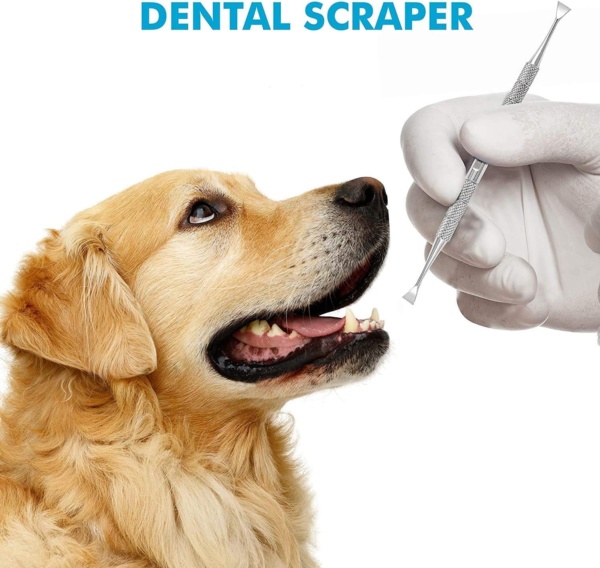 Calculus Remover Dental Plaque Removal for Dogs and Cats, Double Headed Teeth whitening Stainless Steel Kit Suitable for Small Puppy and Pets - Image 5
