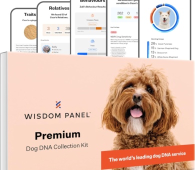 Wisdom Panel Premium: Most Comprehensive Dog DNA Test for 260+ Health Tests | Accurate Breed ID and Ancestry | Traits | Relatives | Behaviours | Vet Consult