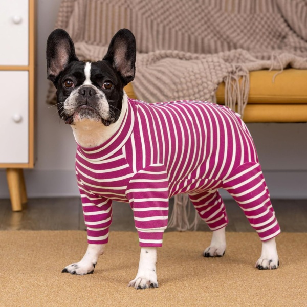Dog Recovery Suit - Long Sleeve Bodysuit After Surgery, Medical Pet Shirt, Onesie to Protect Wound, Surgical Suit for Male/Female Dogs, Puppy Pajamas for Small Medium Dogs - Image 5