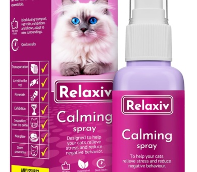 Beloved Pets Calming Pheromone Spray & Scratch Repellent for Cats - Reduces Scratching Furniture, Pee - During Travel, Fireworks, Thunder, Vet Zone - Helps to Relief Stress, Fighting, Hiding (50 ml)