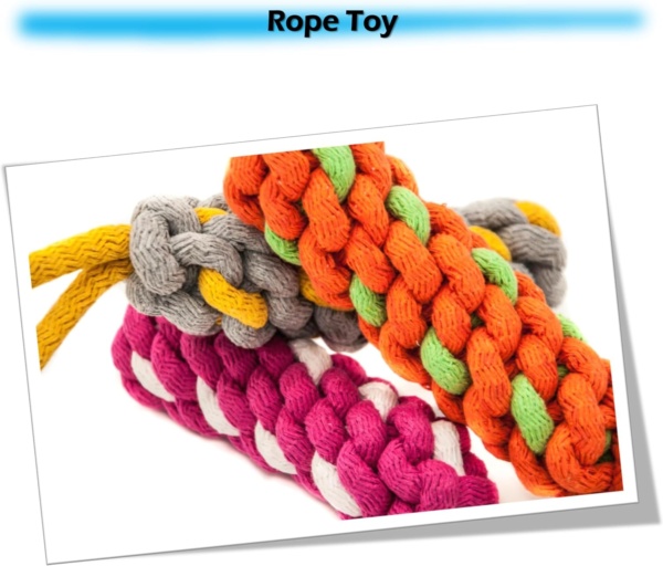 2x Braided Dog Rope Stick Puppy Teething Toys for Small & Medium Dogs - Interactive, Dental Health, Tug of War, Catch Fetch Play (Assorted, Pack of 2) - Image 5