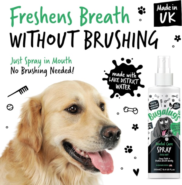 BUGALUGS Dog Breath Freshener Dental Care Dog Spray. Clean Teeth, Healthy Gums & Fresh Breath - Natural Dog plaque remover & tartar remover for teeth. No Brushing Needed (Dog 250ml Spray) - Image 3